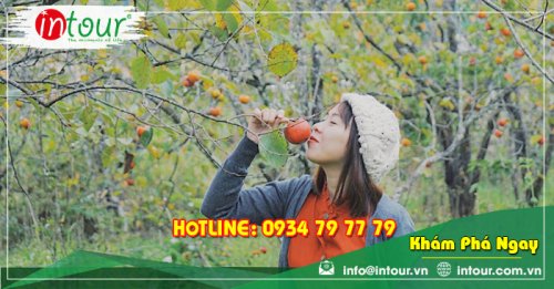 Tour Du Lịch Quảng Nam - Nha trang - Đà Lạt 4 Ngày 3 Đêm Năm 2025