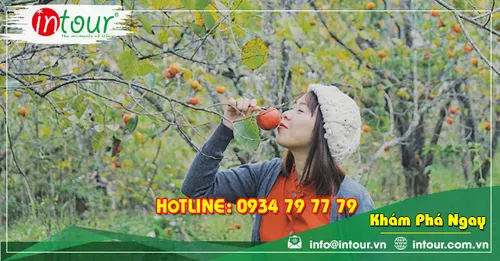 Tour Du Lịch Quảng Nam - Nha trang - Đà Lạt 4 Ngày 3 Đêm Năm 2025