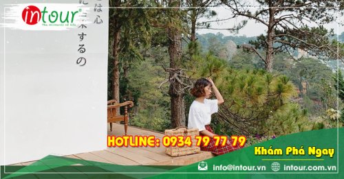 Tour Du Lịch Phan Thiết - Đà Lạt khởi hành từ Sóc Trăng 4 Ngày 3 Đêm Năm 2025