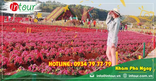 Tour Du Lịch Đà Nẵng - Đà Lạt 3 Ngày 2 Đêm Năm 2025