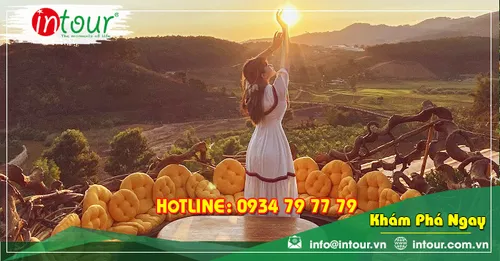 Tour Du Lịch Bắc Giang - Đà Lạt 3 Ngày 2 Đêm Năm 2025