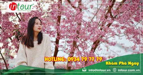 Tour Du Lịch Lạng Sơn - Nha Trang - Đà Lạt 4 Ngày 3 Đêm Năm 2025