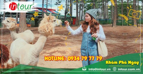 Tour Du Lịch Yên Bái - Đà Lạt 3 Ngày 2 Đêm Năm 2025