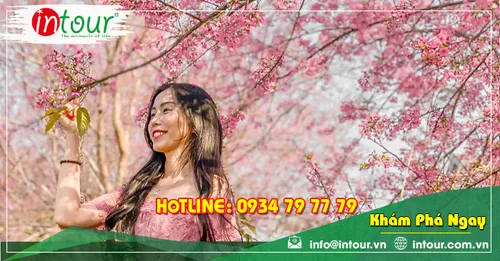 Tour Du Lịch Nha Trang - Đà Lạt khởi hành từ Trà Vinh 4 Ngày 4 Đêm Năm 2025