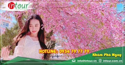 Tour Du Lịch Nha Trang - Đà Lạt khởi hành từ Bến Tre 4 Ngày 4 Đêm Năm 2025