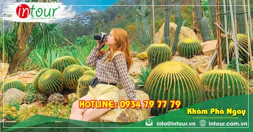 Tour Du Lịch Team Building Đà Lạt khởi hành từ Bạc Liêu 3 Ngày 3 Đêm Năm 2025