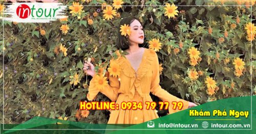 Tour Du Lịch Bà Rịa - Vũng Tàu - Phan Thiết - Đà Lạt 4 Ngày 3 Đêm Năm 2025