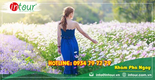 Tour Du Lịch Phan Thiết - Đà Lạt khởi hành từ Long An 4 Ngày 3 Đêm Năm 2025