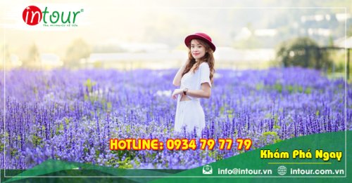 Tour Du Lịch Tây Ninh đi Nha Trang - Đà Lạt 4 Ngày 4 Đêm Năm 2025