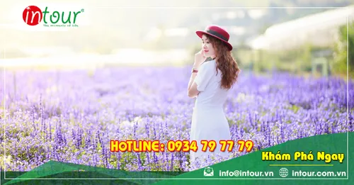 Tour Du Lịch Châu Đốc - Nha Trang - Đà Lạt 4 Ngày 4 Đêm Năm 2025