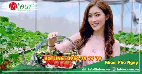 Tour Du Lịch Phan Thiết - Đà Lạt khởi hành từ Châu Đốc 4 Ngày 3 Đêm Năm 2025