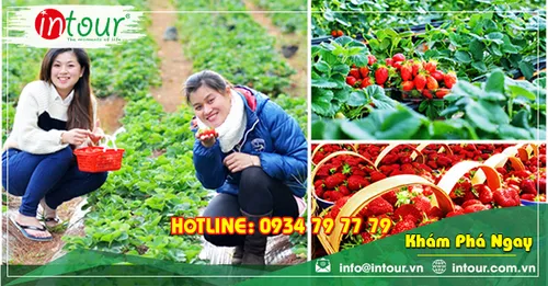 Tour Du Lịch Đồng Tháp đi Nha Trang - Đà Lạt 4 Ngày 4 Đêm Năm 2025
