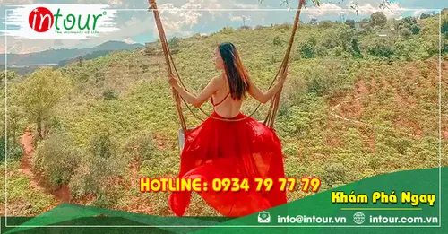 Tour Du Lịch Team Building Bình Dương đi Đà Lạt 3 Ngày 3 Đêm Năm 2025