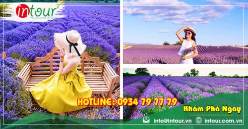 Tour Du Lịch Team Building Đà Lạt khởi hành từ Châu Đốc 3 Ngày 3 Đêm Năm 2025