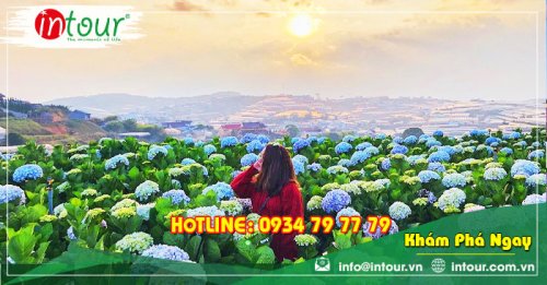 Tour Du Lịch Team Building Bình Phước đi Đà Lạt 3 Ngày 3 Đêm Năm 2025