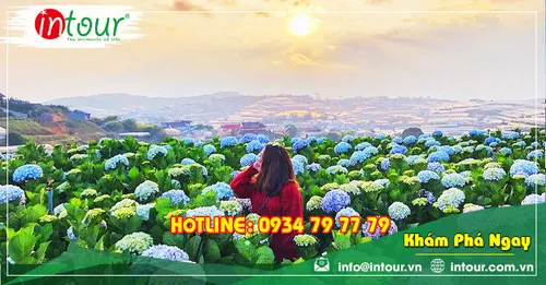 Tour Du Lịch Team Building Bình Phước đi Đà Lạt 3 Ngày 3 Đêm Năm 2025