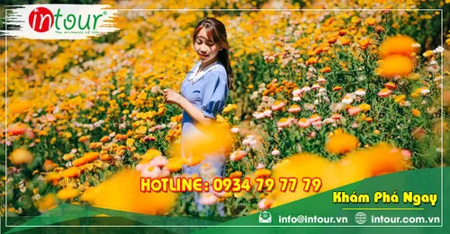 Tour Du Lịch Thanh Hóa - Đà Lạt 3 Ngày 2 Đêm Năm 2025