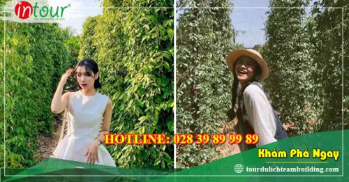 Tour Du Lịch Hải Dương - Phú Quốc 4 Ngày 3 Đêm Năm 2025