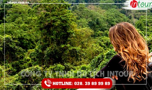Tour Du Lịch Thái Nguyên - Đà Nẵng - Hội An - Bà Nà - Huế - Phong Nha 4 Ngày 3 Đêm Năm 2025