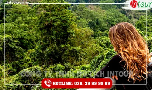 Tour Du Lịch Thái Nguyên - Đà Nẵng - Hội An - Bà Nà - Huế - Phong Nha 4 Ngày 3 Đêm Năm 2025
