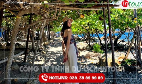 Tour Du Lịch Hải Dương - Đà Nẵng - Hội An - Bà Nà - Huế - Phong Nha 4 Ngày 3 Đêm Năm 2025