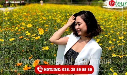 Tour Du Lịch Teambuilding Thái Nguyên - Bình Châu- Vũng Tàu 3 Ngày 2 Đêm Năm 2025