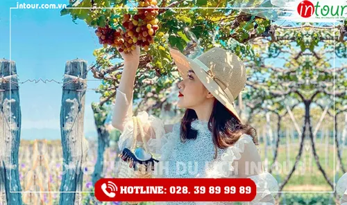 Tour Du Lịch Quảng Trị - Phan Thiết - Mũi Né 3 Ngày 2 Đêm Năm 2025