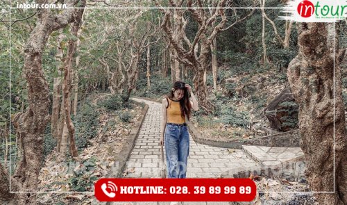 Tour Du Lịch Teambuilding Bình Thuận - Vũng Tàu 2 Ngày 1 Đêm Năm 2025