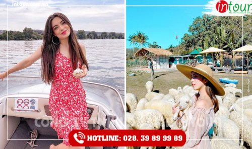 Tour Du Lịch Teambuilding Tây Ninh đi Vũng Tàu 2 Ngày 1 Đêm Năm 2025