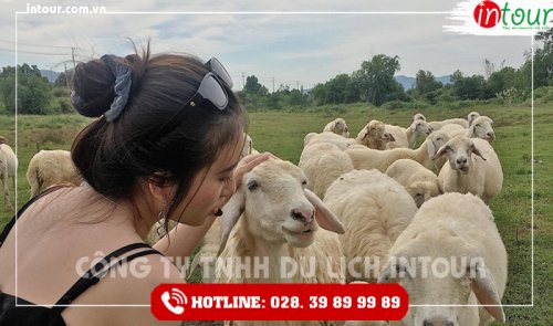 Tour Du Lịch Teambuilding Đồng Nai - Long Hải 1 Ngày Năm 2025