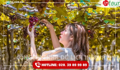 Tour Du Lịch Teambuilding Trà Vinh đi Ninh Chữ - Vĩnh Hy 3 Ngày 3 Đêm Năm 2025