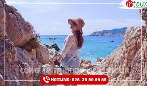 Tour Du Lịch Teambuilding Đà Lạt đi Ninh Chữ - Đảo Bình Hưng 2 Ngày 1 Đêm Năm 2025