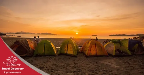 Tour Cắm Trại + BBQ Bãi biển FLC Nhơn Lý Quy Nhơn 1 Đêm 2025