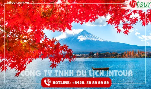 Tour Du Lịch Nhật Bản 5 Ngày 4 Đêm  Tết Nguyên Đán 2026