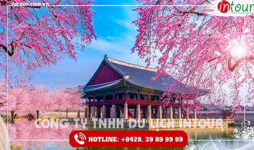 Tour Du Lịch Hàn Quốc 5 Ngày 4 Đêm  Tết Nguyên Đán 2026