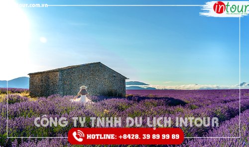 Tour Du Lịch Châu Âu: Ba Lan - Áo - Slovakia - Hungary - CH Séc 10 Ngày 9 Đêm  Tết Nguyên Đán 2026