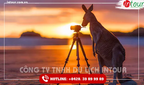 Tour Du Lịch Úc 6 Ngày 5 Đêm  Tết Nguyên Đán 2026