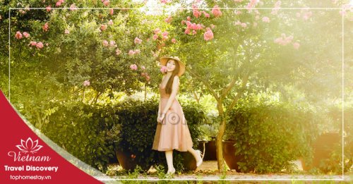 Tour Du Lịch Đồng Hới – Hang Tám Cô – Vườn thực vật - Động Phong Nha 1 Ngày