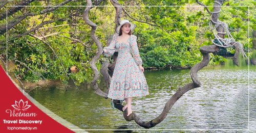 Tour Du Lịch Khám Phá & Trãi Nghiệm Vịnh Đầm Tre Côn Đảo 1 Ngày