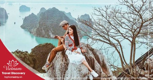Tour Du Lịch Hạ Long – Tuần Châu – Cát Bà 4 Ngày 3 Đêm
