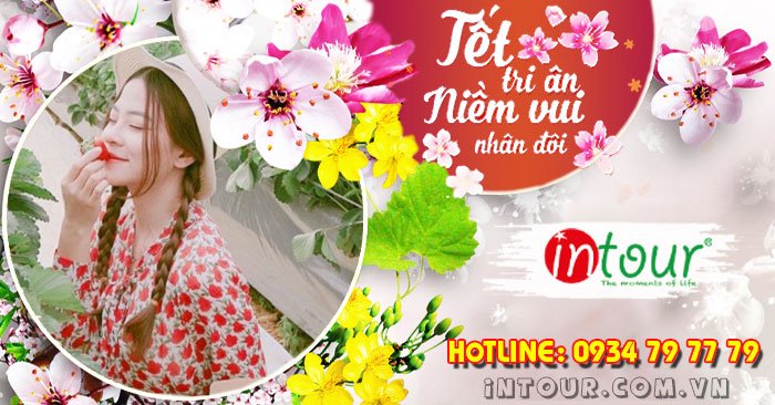 Tour Du Lịch Đà Lạt 3 Ngày 2 Đêm  Tết Nguyên Đán 2026