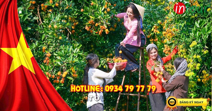 Tour Du Lịch miền Tây Mỹ Tho - Cần Thơ 2 Ngày 1 Đêm  Lễ 30/4/ - 1/5/2025