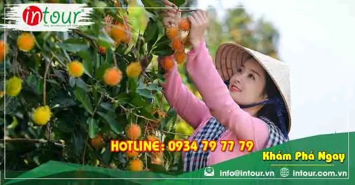 Tour Du Lịch Nghệ An (Vinh) - Phú Quốc - Miền Tây 6 Ngày 5 Đêm Năm 2025
