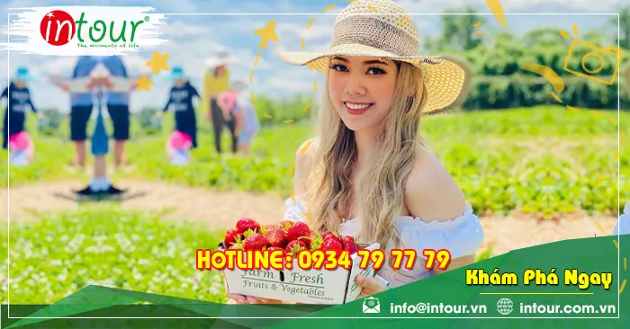 Tour Du Lịch Kiên Giang - Nha Trang - Đà Lạt 4 Ngày 4 Đêm Năm 2025