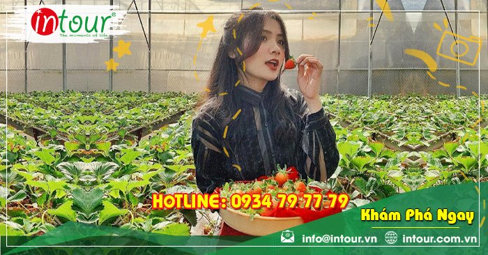 Tour Du Lịch Ninh Bình - Đà Lạt 3 Ngày 2 Đêm Năm 2025