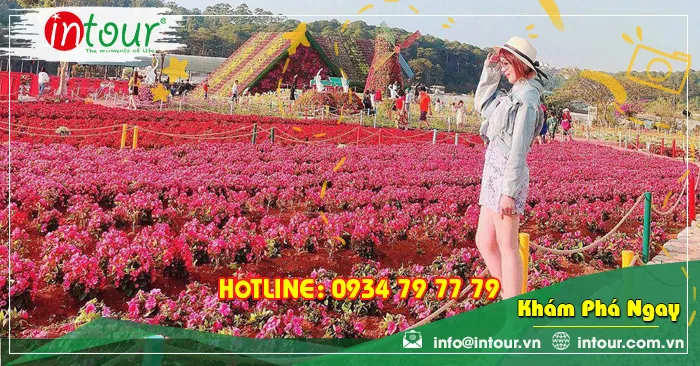 Tour Du Lịch Đà Nẵng - Đà Lạt 3 Ngày 2 Đêm Năm 2025