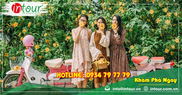 Tour Du Lịch Bắc Ninh - Đà Lạt 3 Ngày 2 Đêm Năm 2025