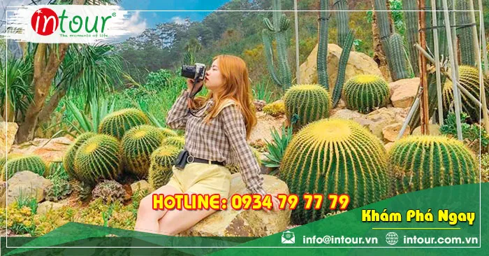 Tour Du Lịch Team Building Đà Lạt khởi hành từ Bạc Liêu 3 Ngày 3 Đêm Năm 2025