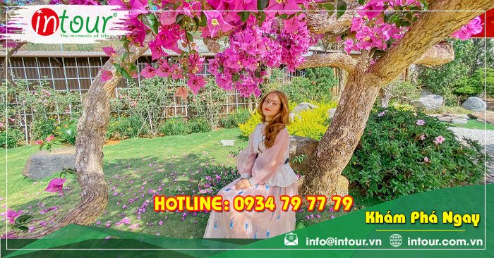 Tour Du Lịch Team Building Đà Lạt khởi hành từ Bến Tre 3 Ngày 3 Đêm Năm 2025