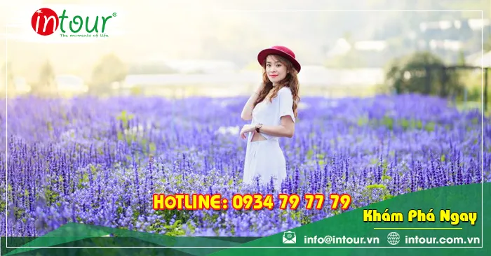 Tour Du Lịch Tây Ninh đi Nha Trang - Đà Lạt 4 Ngày 4 Đêm Năm 2025
